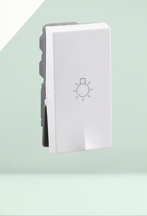 1 Way Modular Switch