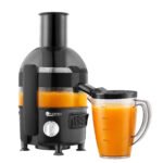 Gharima NatureSip Juicer